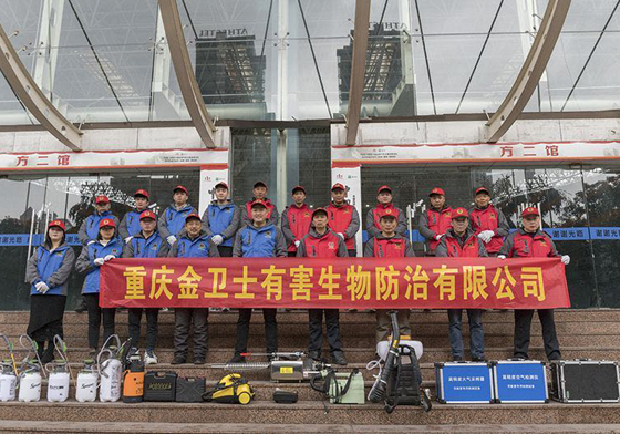 散白蟻侵害現(xiàn)代建筑，如何有效進(jìn)行白蟻防治處理