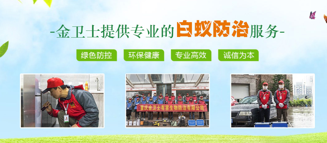 春季3月時(shí)期，白蟻消殺工作任重而道遠(yuǎn)  ?