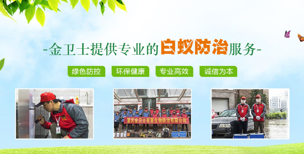 丑陋的蟑螂看起來很可怕。如何解決這種情況？