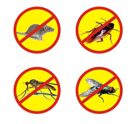 如何減少四害對(duì)我們的侵害？