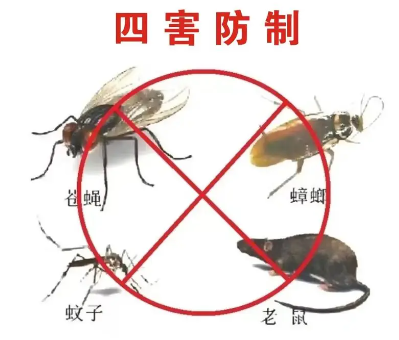 蟑螂怎么消滅？除蟑螂只需做到這3點(diǎn)