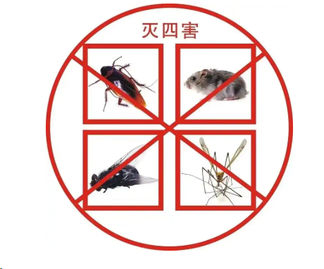 專業(yè)殺蟲(chóng)除四害——守護(hù)健康生活的防線